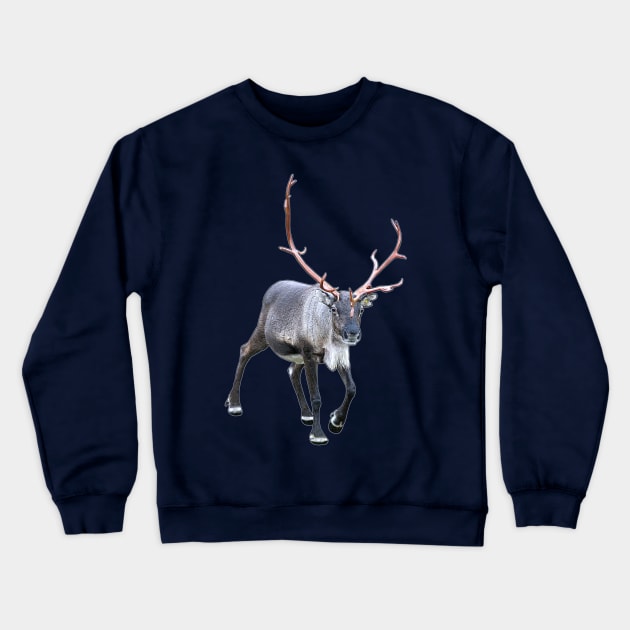 Santa Claus Reindeer Crewneck Sweatshirt by FotoJarmo